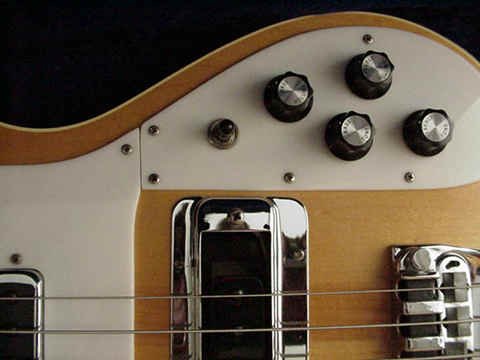 Rickenbacker Forum