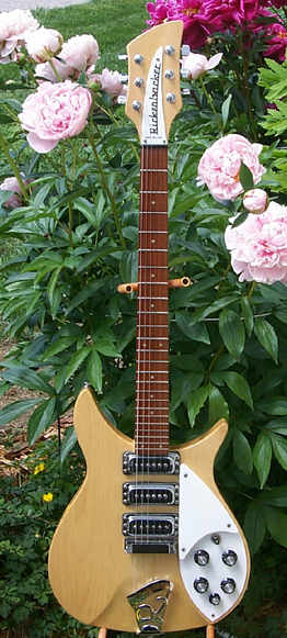 Rickenbacker Forum