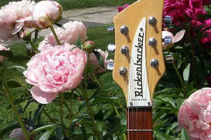 Rickenbacker Forum