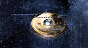 Rickenbacker Forum