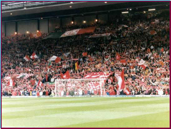 The Fans